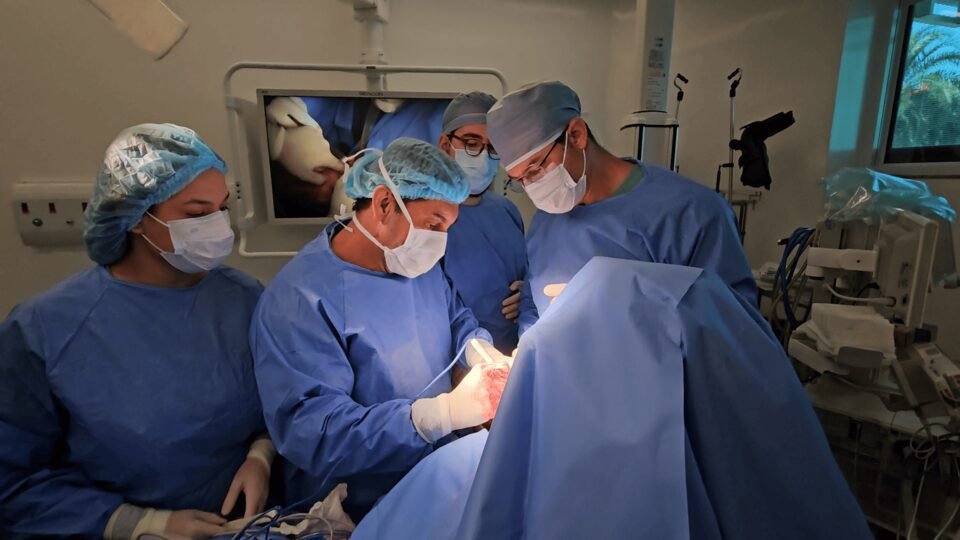 Frames.00_00_44_06.Quadro003