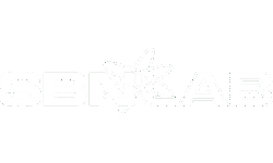 logo-sbnlab
