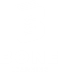 Logo Bone Learning