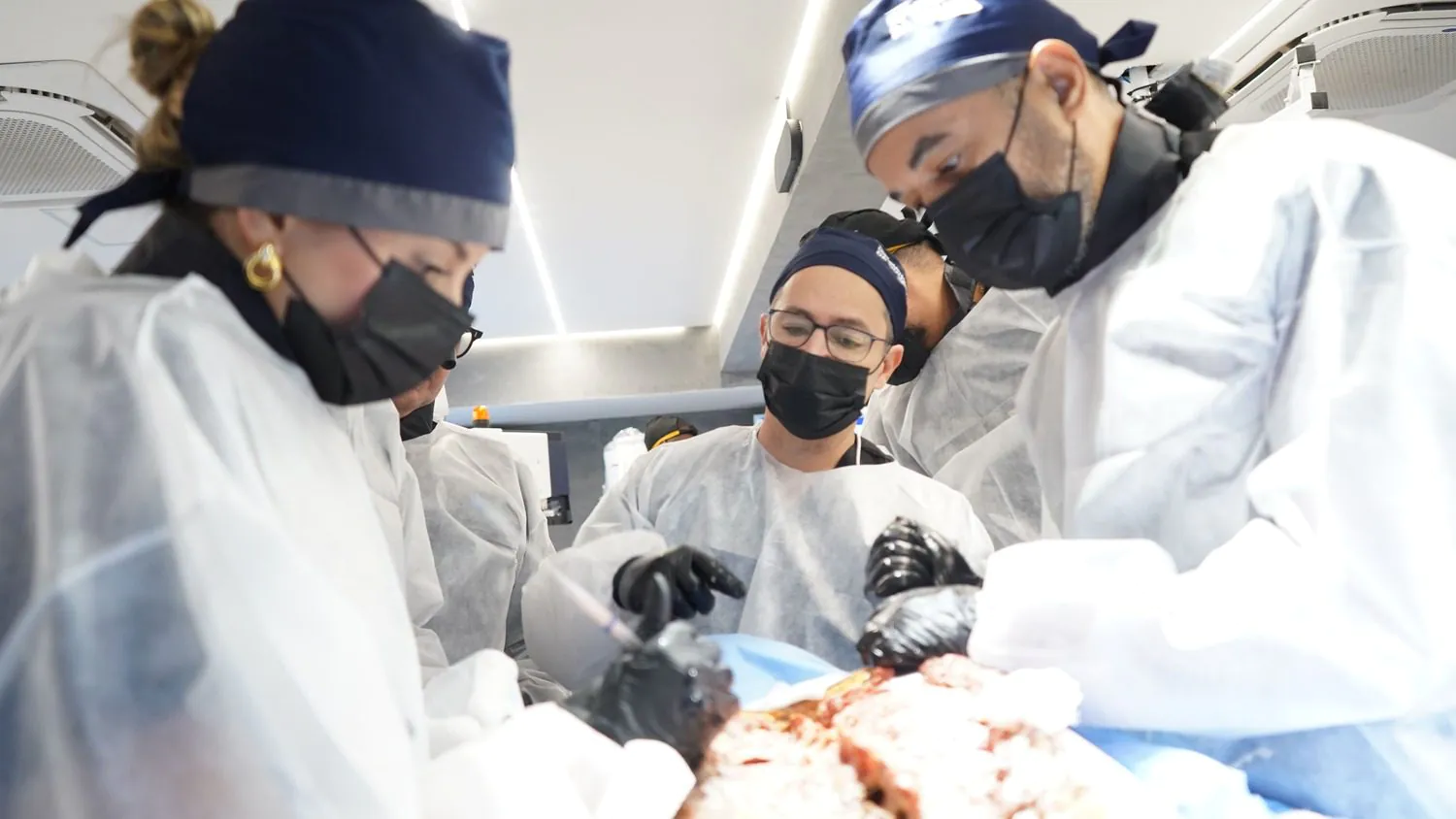 Cadaver Lab Fresh Frozen — Scientific Research